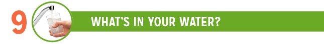 What's In Your Water
